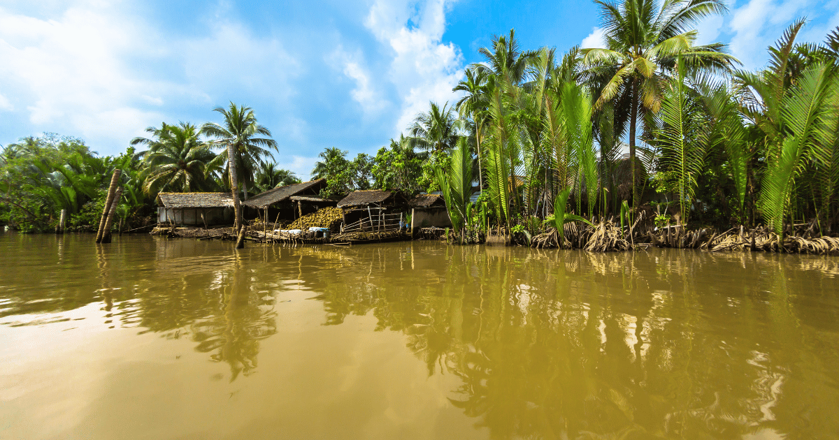immersion dans le delta du Mékong